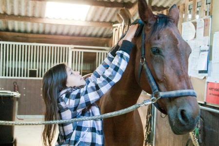 © Paarden verzorgen en paardrijden © 