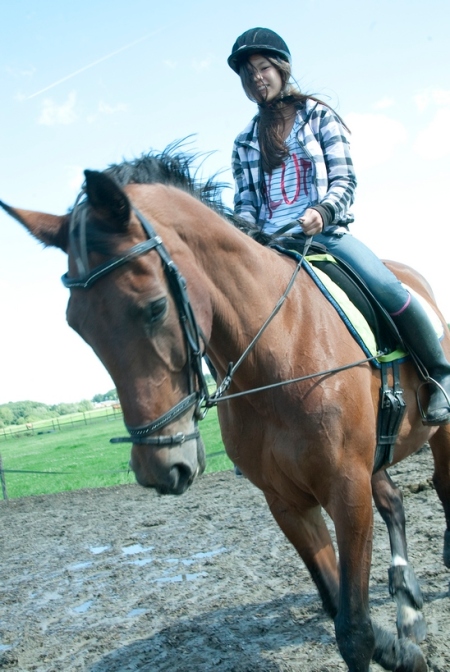 Paarden verzorgen en paardrijden